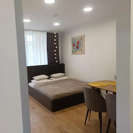 Dariaus Ir Gireno 6 Appartement