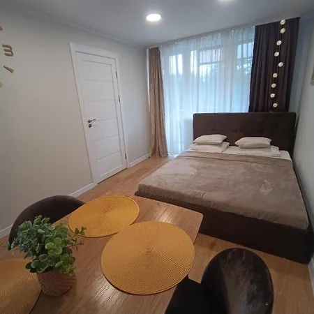 Appartement Dariaus Ir Gireno 6
