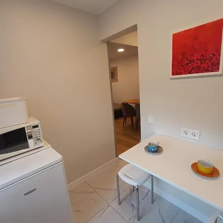 Dariaus Ir Gireno 6 Appartement