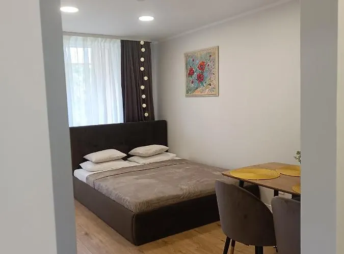 Dariaus Ir Gireno 6 Apartment