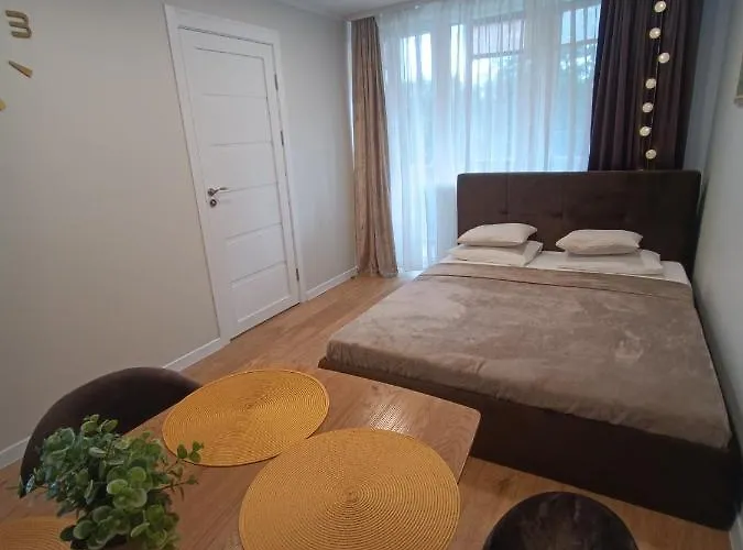 Apartment Dariaus Ir Gireno 6