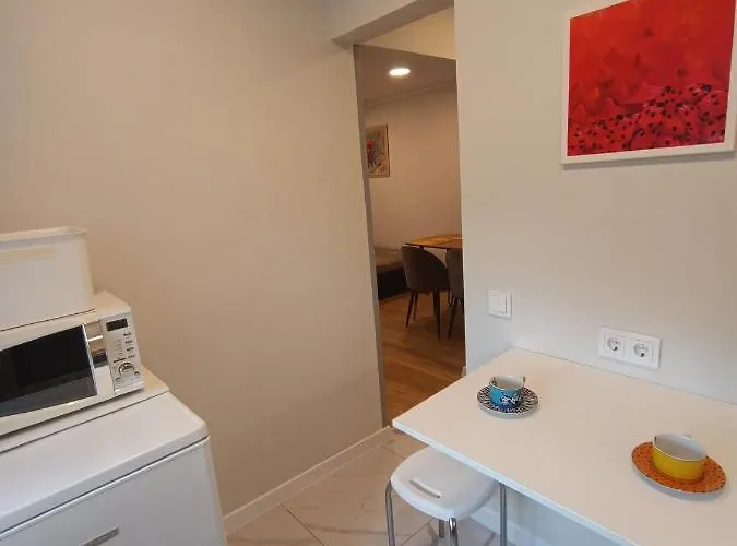 Dariaus Ir Gireno 6 Apartment